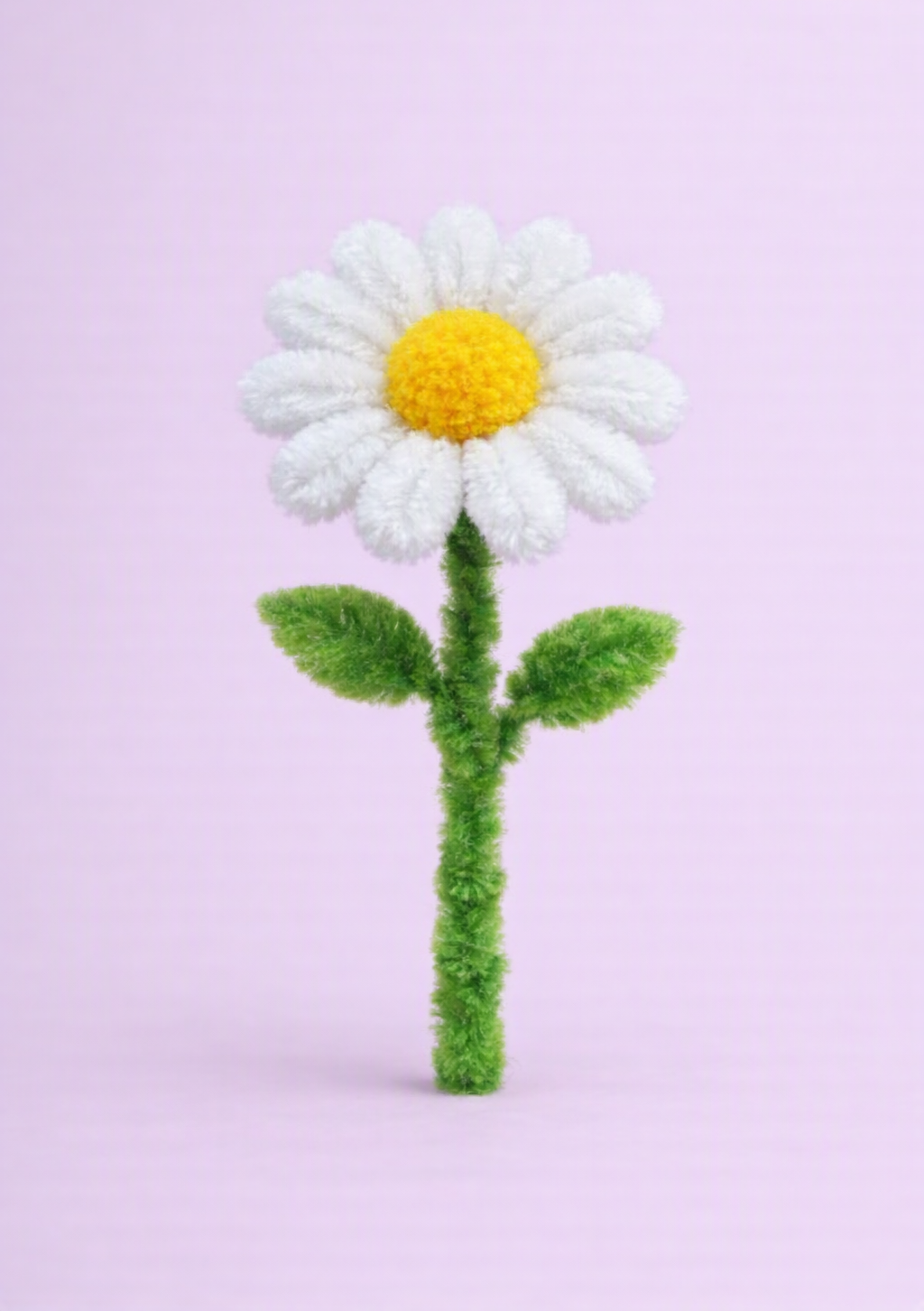 Margarida Doce — imagem 1 de 3