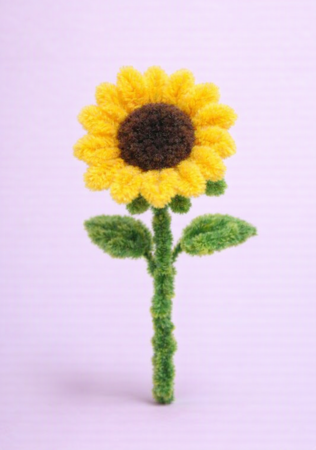 Girassol Sol Radiante — imagem 1 de 1