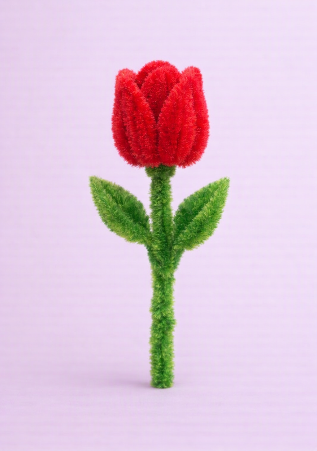 Tulipa Encantada — imagem 1 de 1
